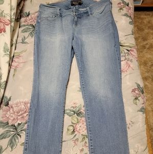 Torrid Denim jeggings